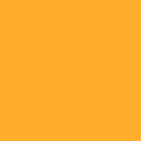 Бумажный фон Nugget (9013) Lastolite 2.72*11м оранжевый