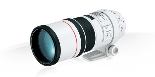 Объектив Canon EF 300 mm f/4.0 L IS USM