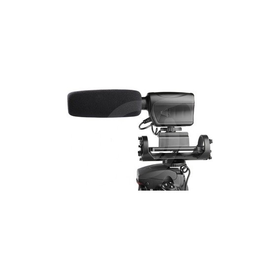 Raylab Kino Direct-111