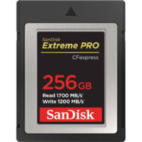 Карта памяти SanDisk 256GB Extreme PRO CFexpress B