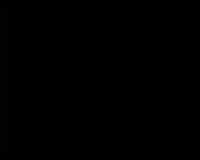 Фон BD 101-BD-A4 Black