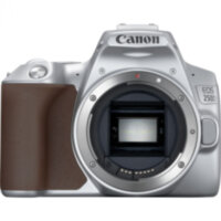 Зеркальный фотоаппарат Canon EOS 250D Body silver