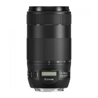 Объектив Canon EF 70-300mm f/4-5.6 IS II USM 