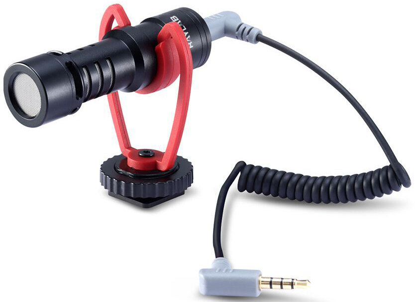 Микрофон кардиоидный Raylab Rec. MiniMic