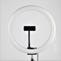 Постоянный свет FST LED 12-RL  светодиодный кольцевой осветитель 