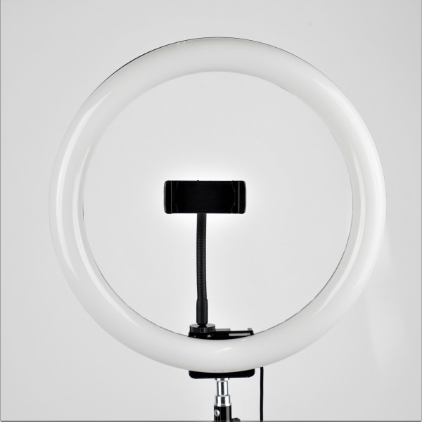 Постоянный свет FST LED 12-RL  светодиодный кольцевой осветитель 
